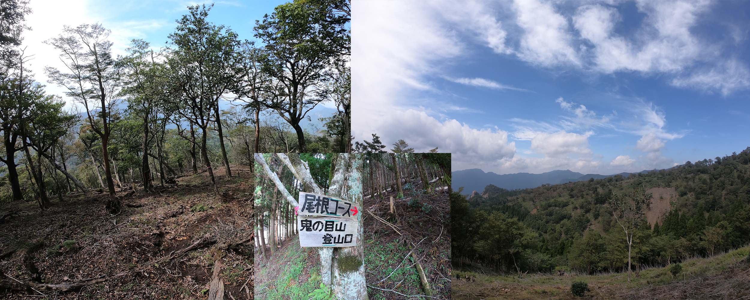 鬼の目山を目指す登山道