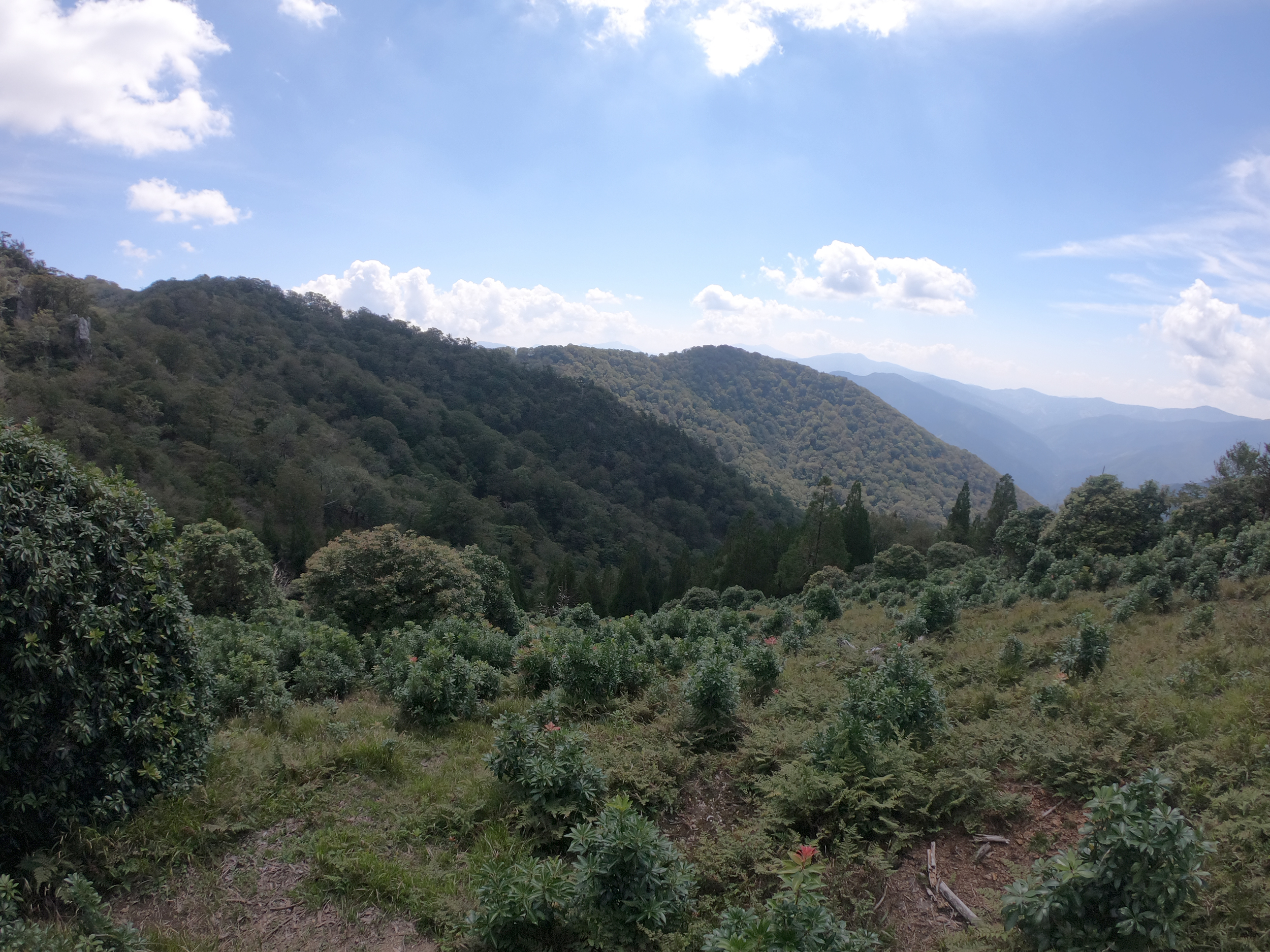 扇山へ。視界が広がる