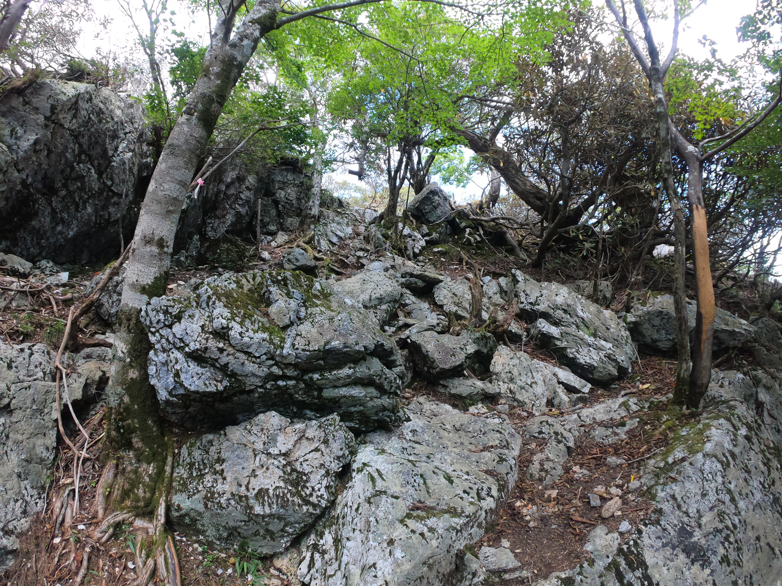 扇山山頂への岩場