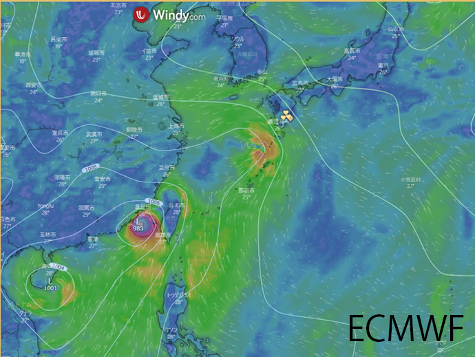 windyでの９月８日予想（ECMWF)